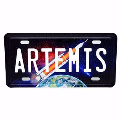 Picture of Magnets Mtl License Lrg