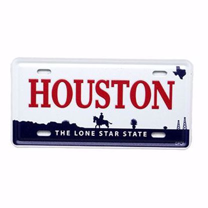 Picture of Magnets Mtl License Lrg