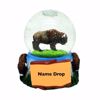 Picture of Globes Imprint 65mm